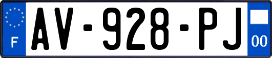 AV-928-PJ