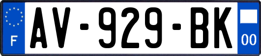 AV-929-BK
