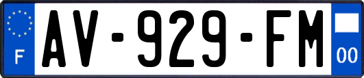 AV-929-FM