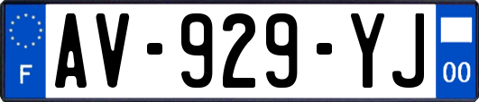 AV-929-YJ