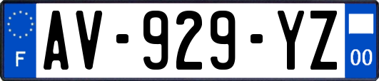 AV-929-YZ