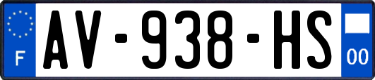 AV-938-HS