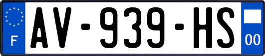 AV-939-HS