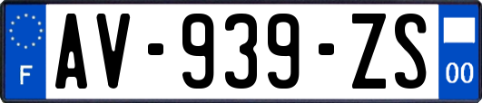 AV-939-ZS