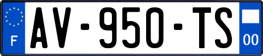 AV-950-TS