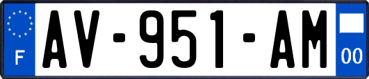 AV-951-AM