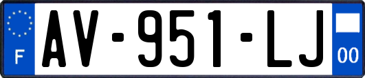 AV-951-LJ