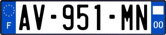 AV-951-MN
