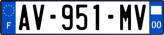 AV-951-MV
