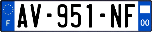 AV-951-NF