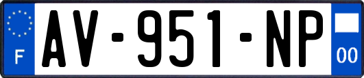 AV-951-NP
