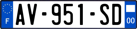 AV-951-SD