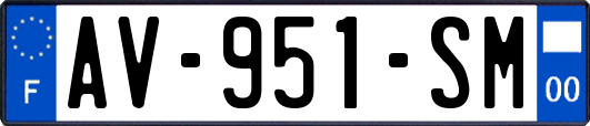 AV-951-SM