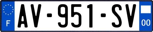 AV-951-SV