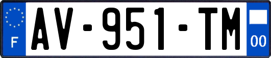 AV-951-TM