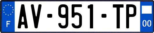 AV-951-TP