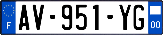 AV-951-YG