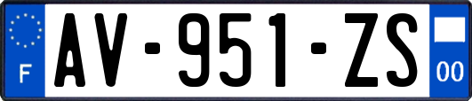 AV-951-ZS