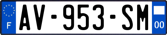 AV-953-SM
