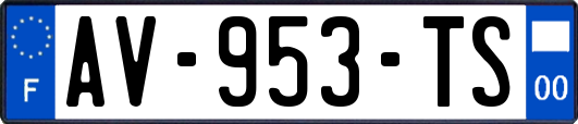 AV-953-TS