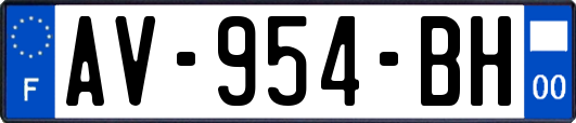 AV-954-BH