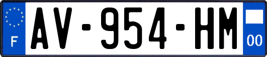 AV-954-HM