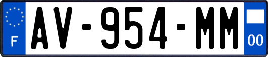 AV-954-MM