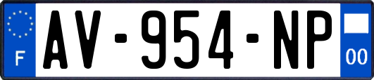 AV-954-NP