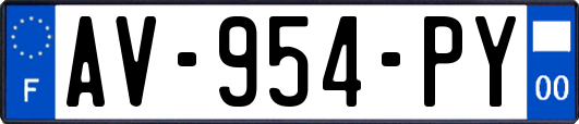 AV-954-PY