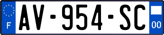 AV-954-SC