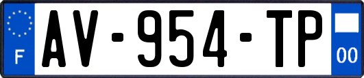 AV-954-TP