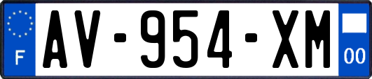 AV-954-XM