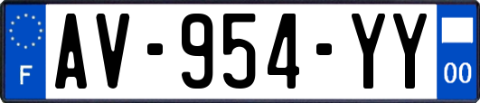 AV-954-YY