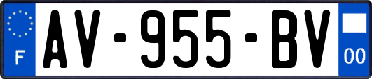 AV-955-BV