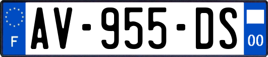 AV-955-DS