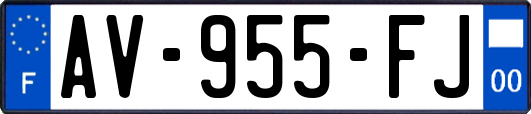 AV-955-FJ