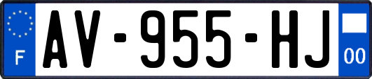 AV-955-HJ