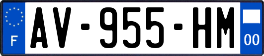 AV-955-HM