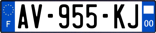 AV-955-KJ