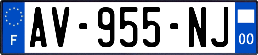 AV-955-NJ