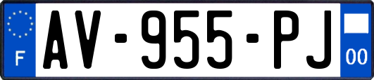 AV-955-PJ