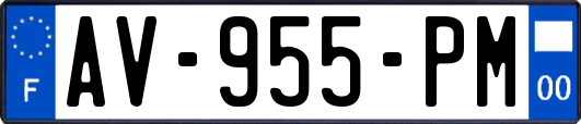 AV-955-PM