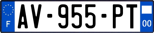 AV-955-PT