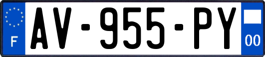 AV-955-PY