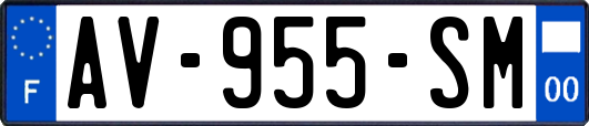 AV-955-SM