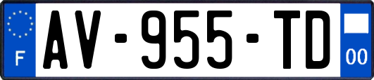 AV-955-TD