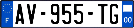 AV-955-TG
