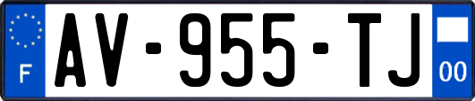 AV-955-TJ