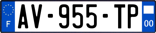 AV-955-TP