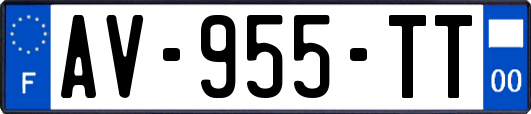 AV-955-TT
